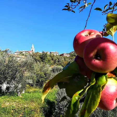 Agriturismo Il Castagneto בית חווה *