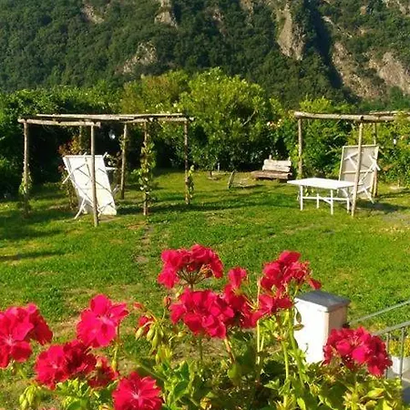 Agriturismo Il Castagneto *