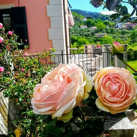 Фермерский дом Agriturismo Il Castagneto *