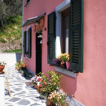Agriturismo Il Castagneto Farm stay *
