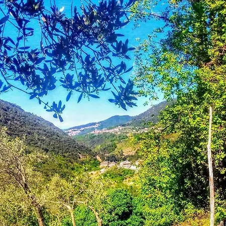 Agriturismo Il Castagneto Farm stay Castiglione Chiavarese